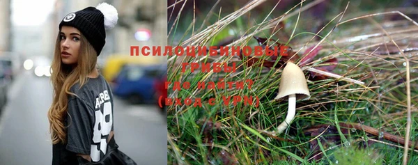 PSILOCYBIN Алапаевск